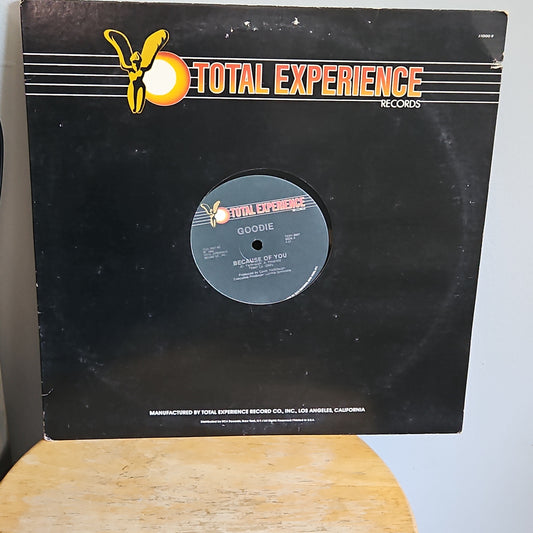 Goodie Because of You By The Total Experience Records