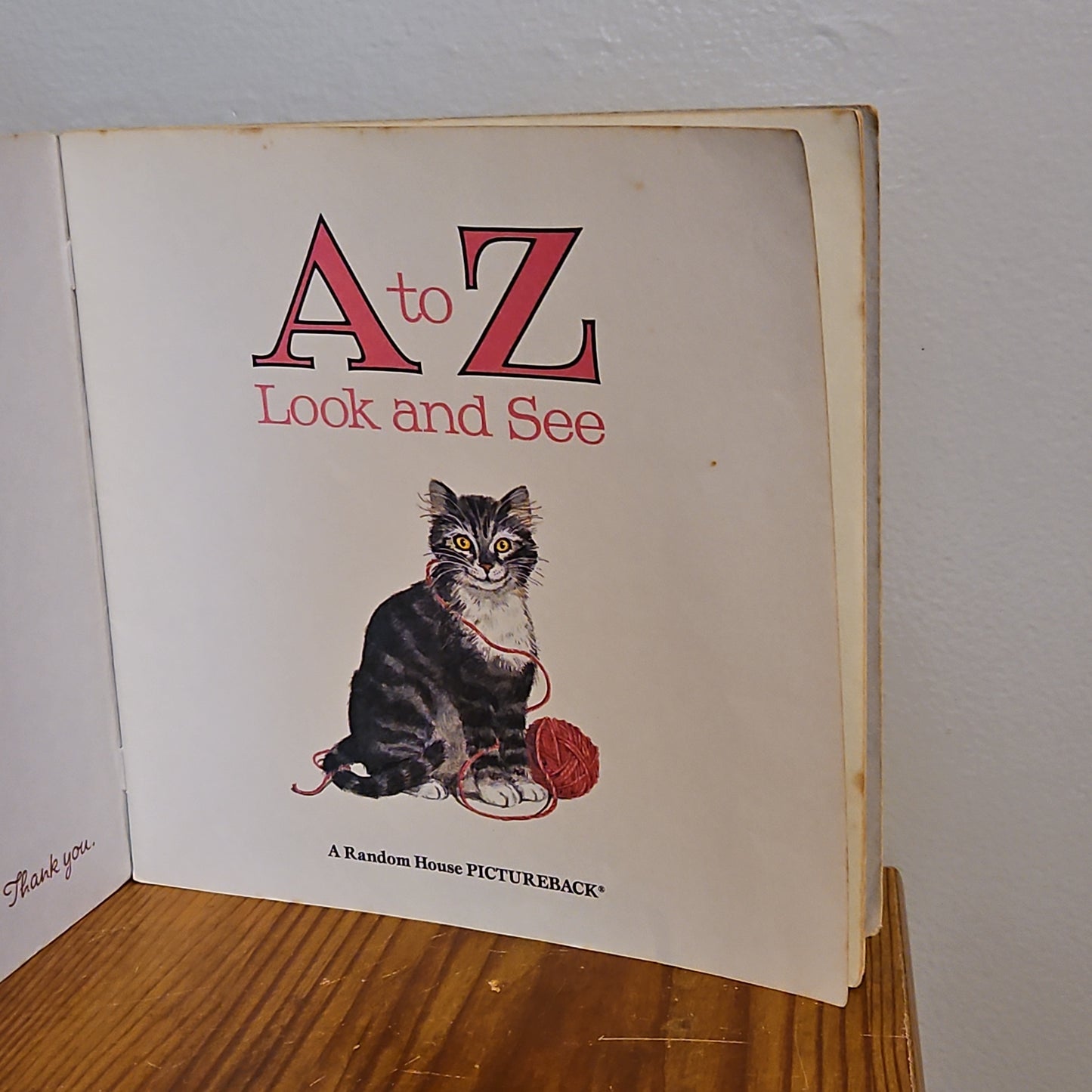 A to Z Look and See By Audean Johnson 1989